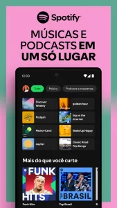 spotify premium apk